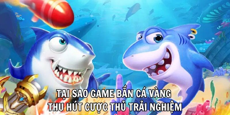 Tại sao game bắn cá vàng thu hút cược thủ trải nghiệm